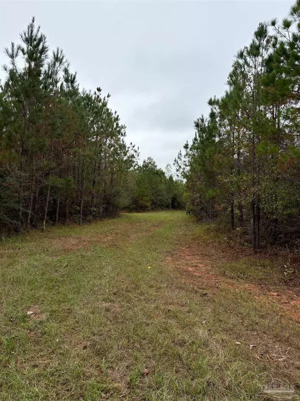 Vredenburgh, AL 36481,000 Apple Grove Rd