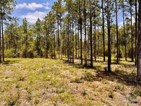 North Pace, FL 32571,Lot 97 Turning Leaf Rd