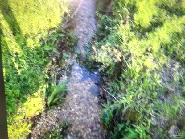 Castleberry, AL 36432,81 Holland St