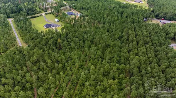 Pace, FL 32571,19.58 Sage Forest Ln