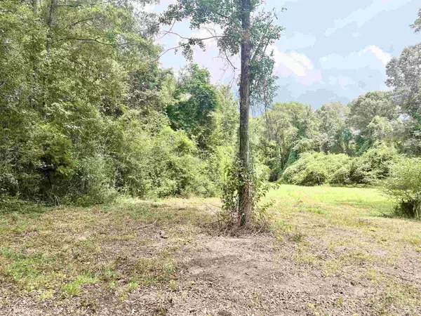 Range, AL 36473,4599 Brushy Creek Rd