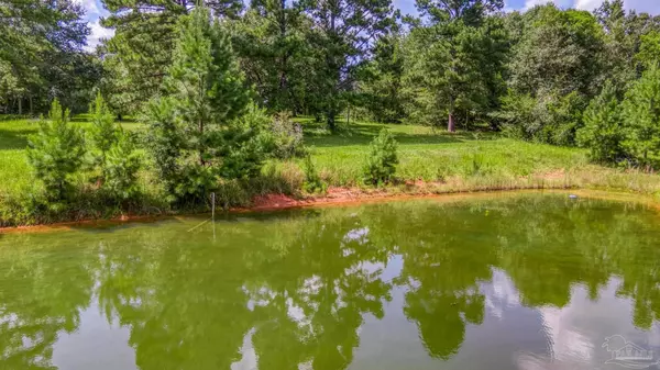 Molino, FL 32577,2647 Molino Rd