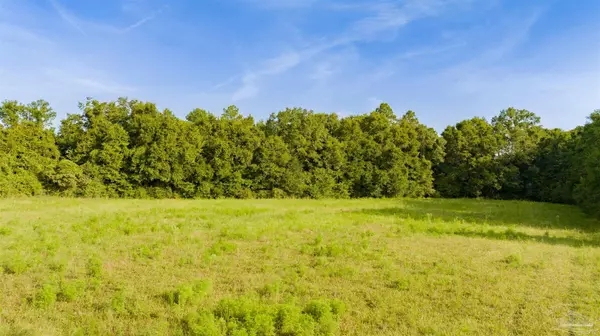 Jay, FL 32565,00 Cobbtown Rd