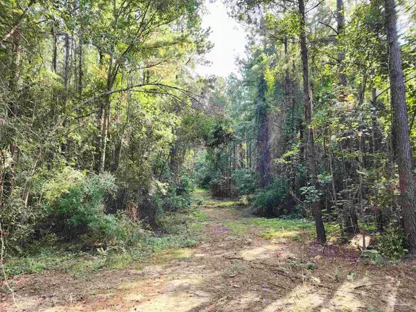 Atmore, AL 36502,0 Lowery Rd
