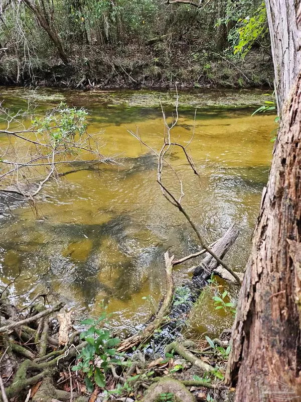 Pace, FL 32571,4957 Timothy Twitchell Dr