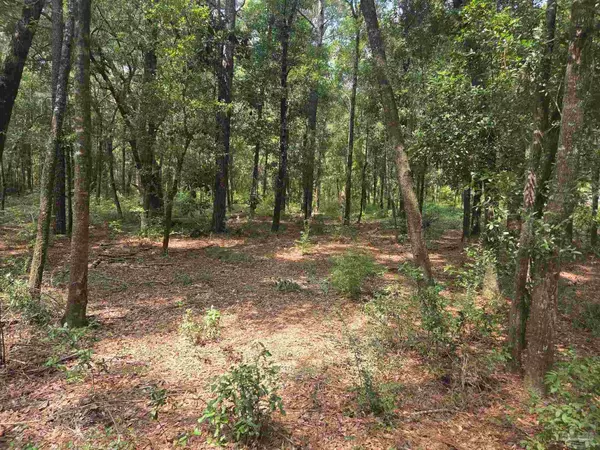 0000 Mcinnis St, Bagdad, FL 32583