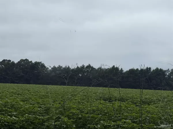 Milton, FL 32570,3308 Deloach Ln