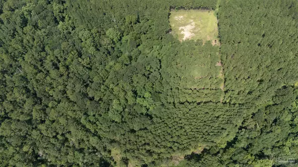 Laurel Hill, FL 32567,3100 Jack