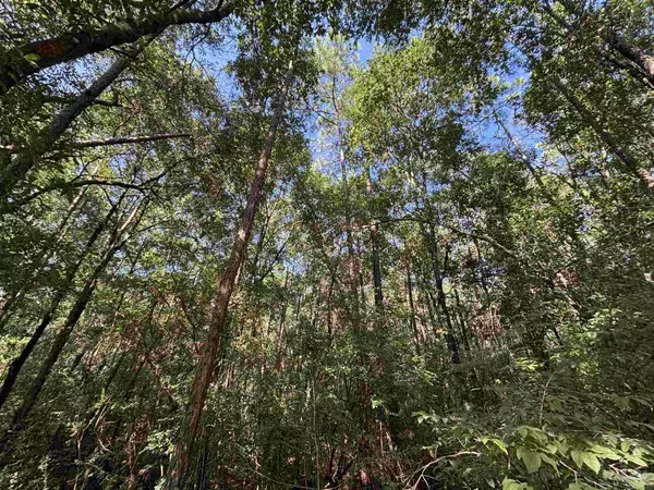Milton, FL 32583,Lot 7 Rustling Pines Dr
