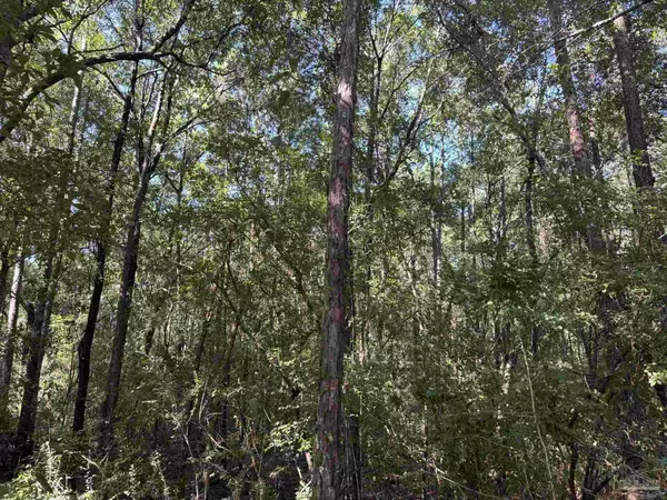 Milton, FL 32583,Lot 6 Rustling Pines Dr