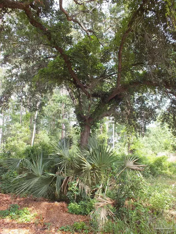 Milton, FL 32583,000 Eventide Rd