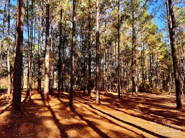 Jay, FL 32565,Parcel 4-RS Hwy 182