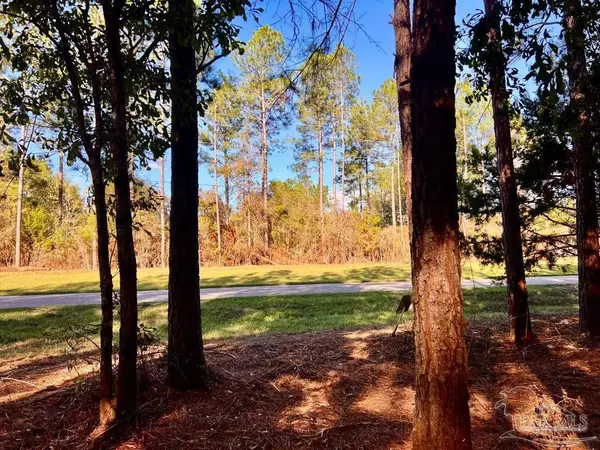 Jay, FL 32565,Parcel 4-RS Hwy 182