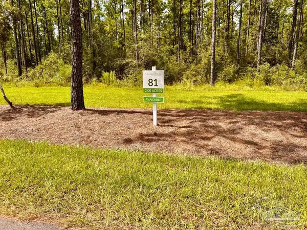 Pace, FL 32571,Lot 81 Naturewalk Dr