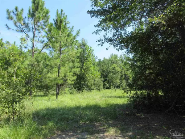 Pace, FL 32571,Chumuckla Hwy