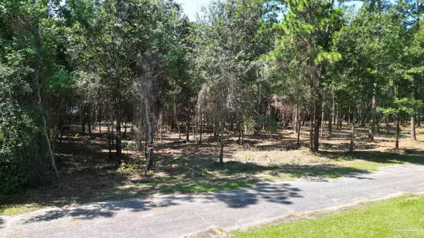 Pace, FL 32571,000 Falling Brook Ct