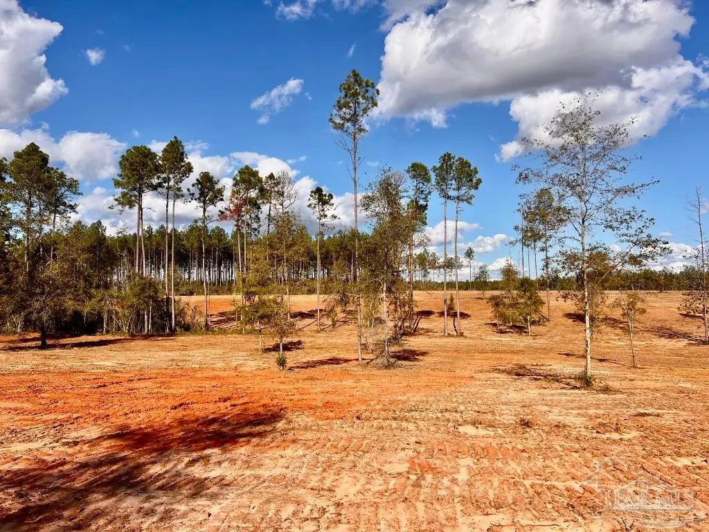 Jay, FL 32565,Lot 9 Denali Rd