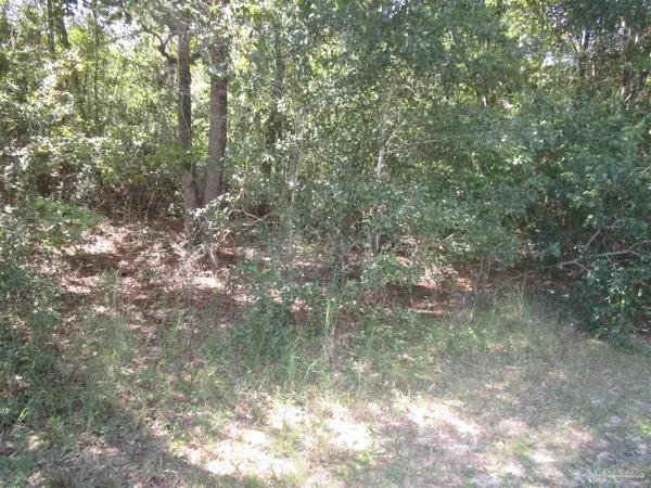 Milton, FL 32571,0 Electra Dr