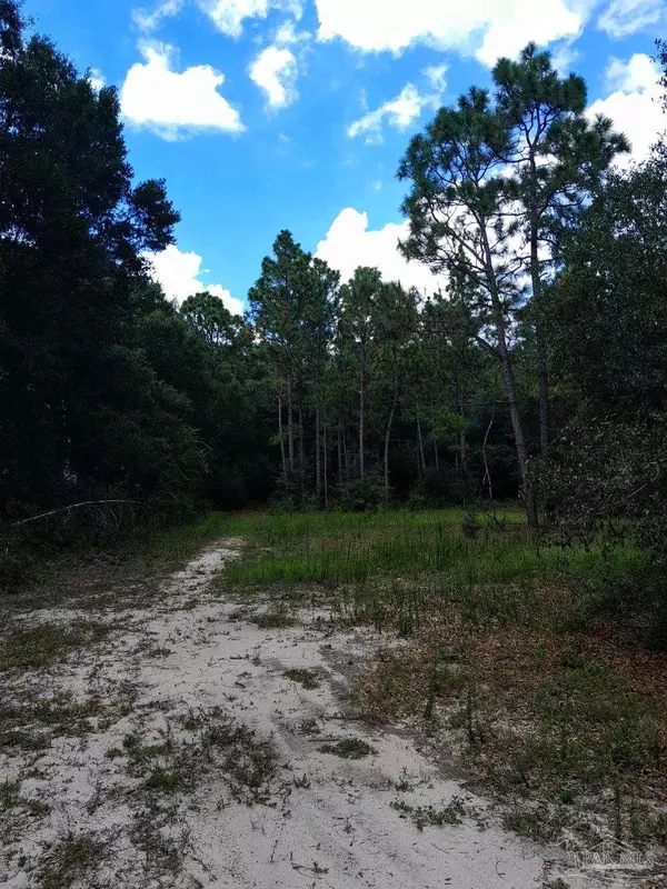 Milton, FL 32570,TBD Hamilton Bridge Rd