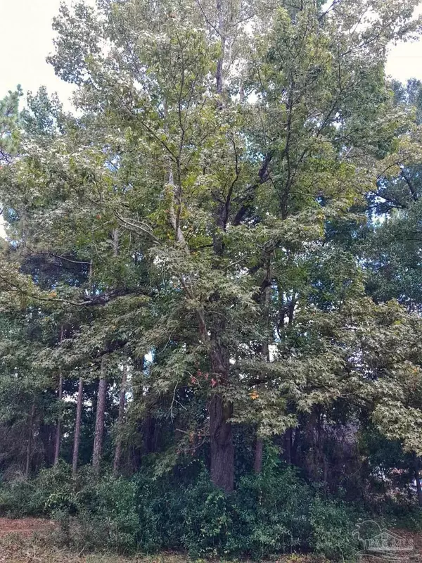 Milton, FL 32570,TBD Hamilton Bridge Rd