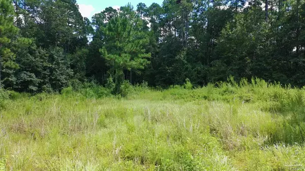 Pace, FL 32571,3453 Argyle Dr