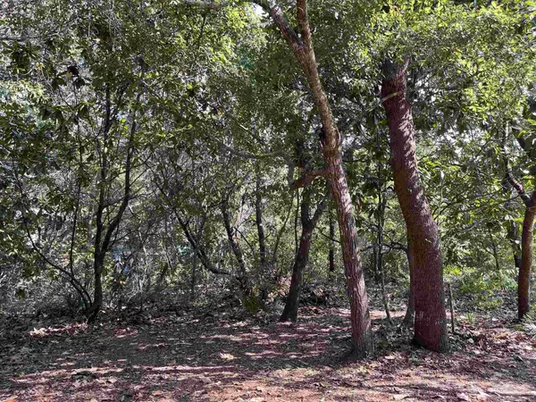 Gulf Breeze, FL 32563,4925 Hickory Shores Blvd