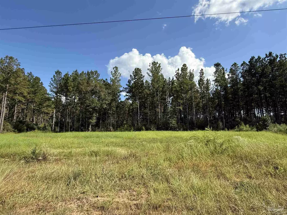 Jay, FL 32565,1359 Mineral Springs Rd