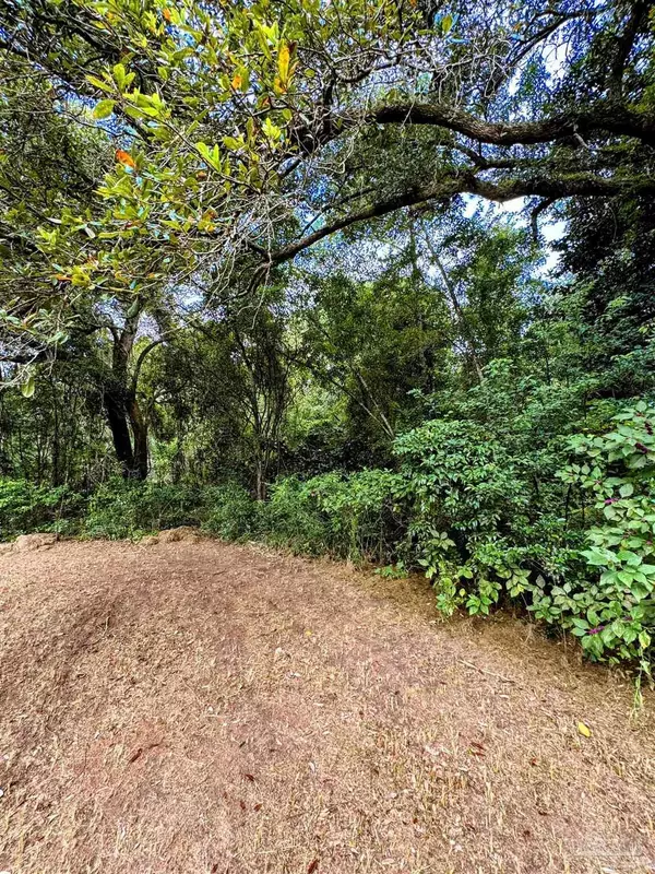 Summerdale, AL 36580,17671 Williams Ln