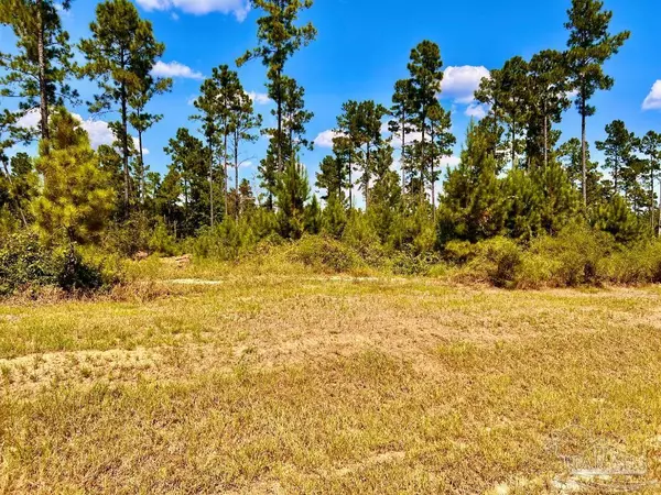 Molino, FL 32577,Lot 2 Morgans Branch