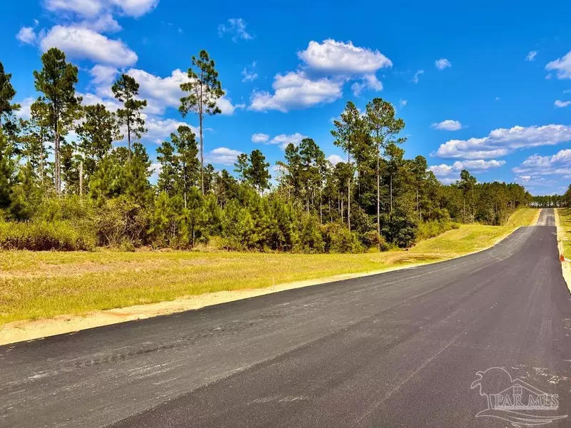 Lot 3 Morgans Branch, Molino, FL 32577