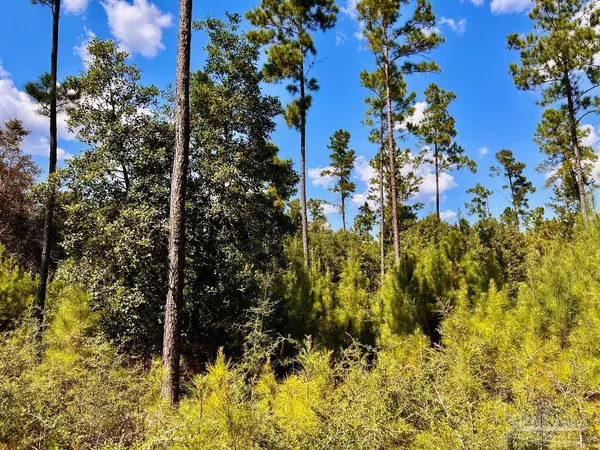 Molino, FL 32577,Lot 3 Morgans Branch