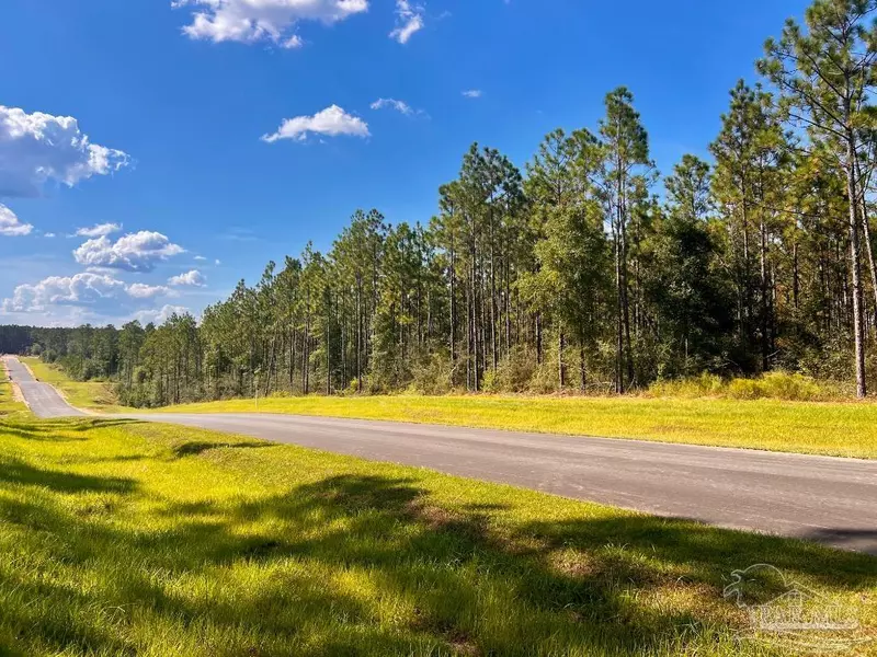 Lot 5 Morgans Branch, Molino, FL 32577