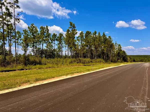 Molino, FL 32577,Lot 12 Morgans Branch