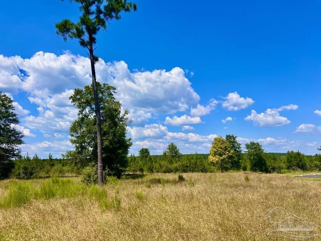 Molino, FL 32577,Lot 14 Morgans Branch