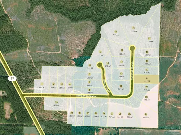 Molino, FL 32577,Lot 21 Morgans Branch
