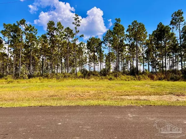 Molino, FL 32577,Lot 23 Morgans Branch