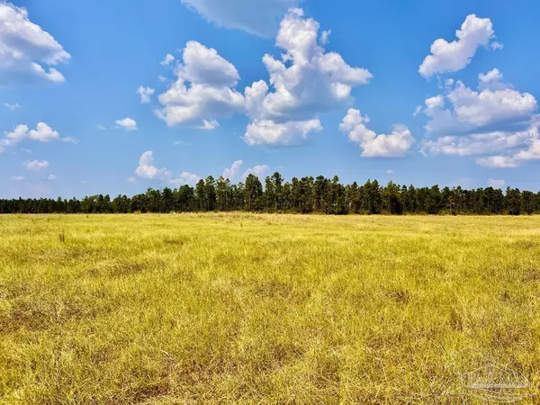 Molino, FL 32577,Lot 24 Morgans Branch