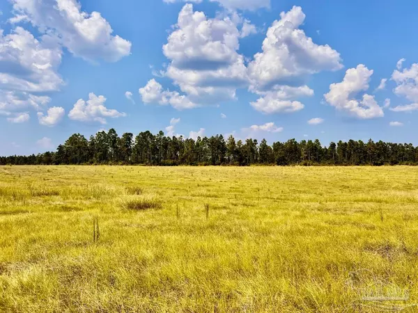 Molino, FL 32577,Lot 24 Morgans Branch