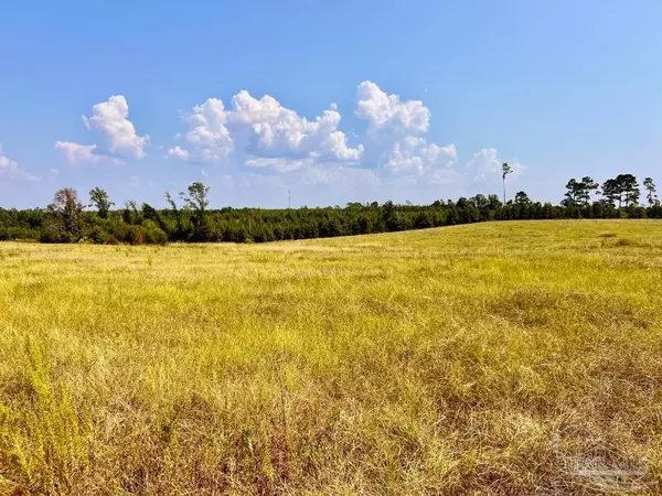 Molino, FL 32577,Lot 24 Morgans Branch