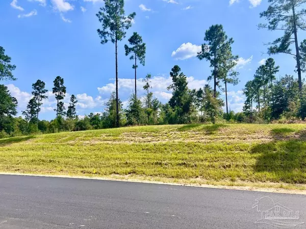 Molino, FL 32577,Lot 32 Morgans Branch