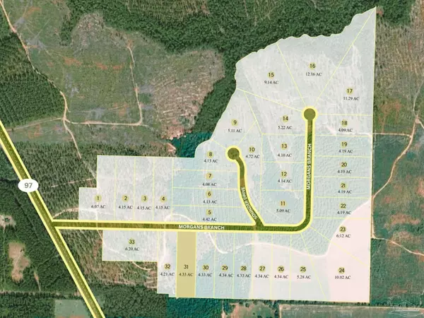 Molino, FL 32577,Lot 31 Morgans Branch