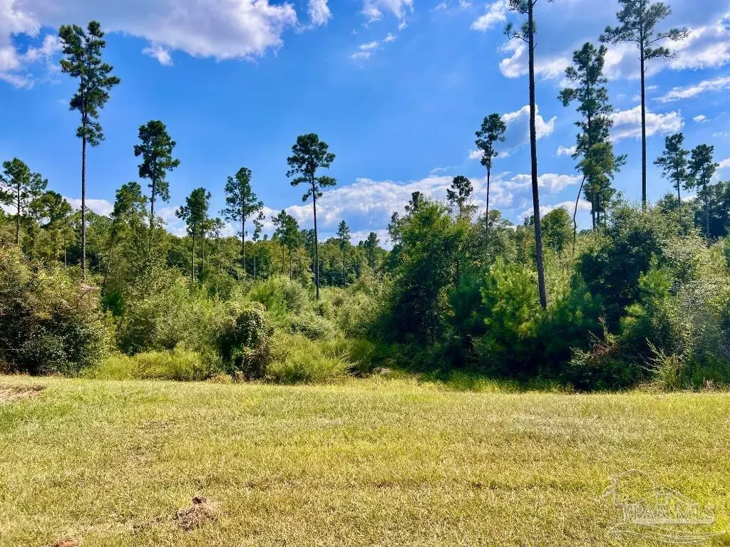 Molino, FL 32577,Lot 31 Morgans Branch