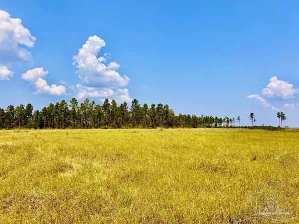 Molino, FL 32577,Lot 25 Morgans Branch