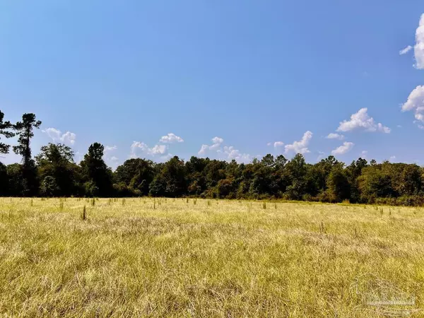 Molino, FL 32577,Lot 26 Morgans Branch