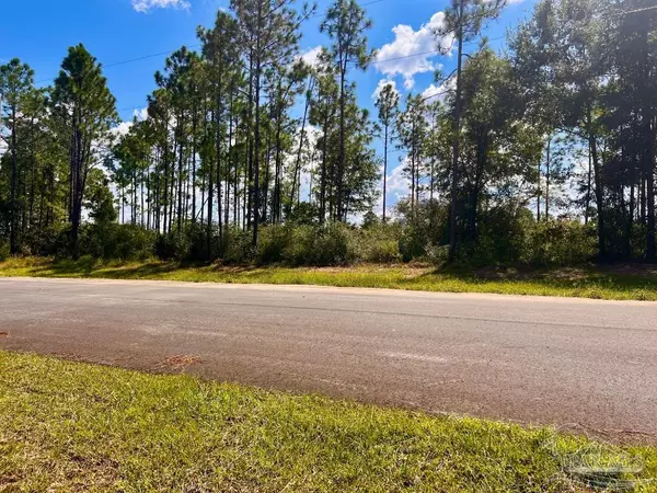 Molino, FL 32577,Lot 27 Morgans Branch