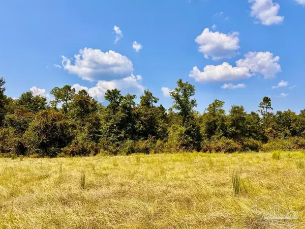 Molino, FL 32577,Lot 27 Morgans Branch