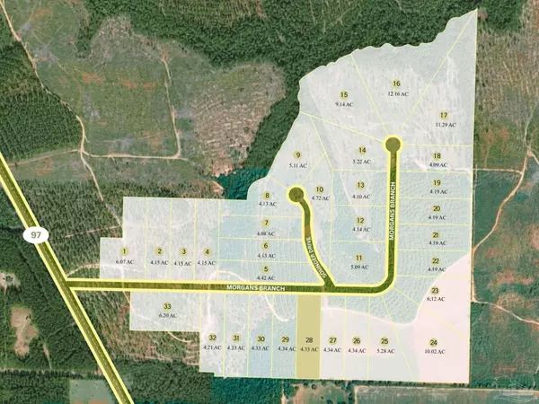 Molino, FL 32577,Lot 28 Morgans Branch