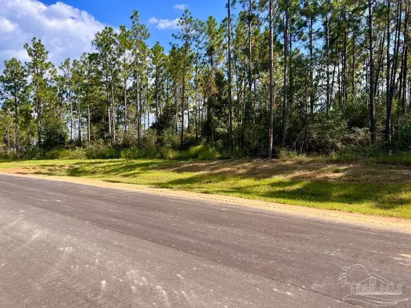 Molino, FL 32577,Lot 28 Morgans Branch