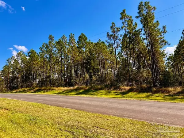 Molino, FL 32577,Lot 29 Morgans Branch