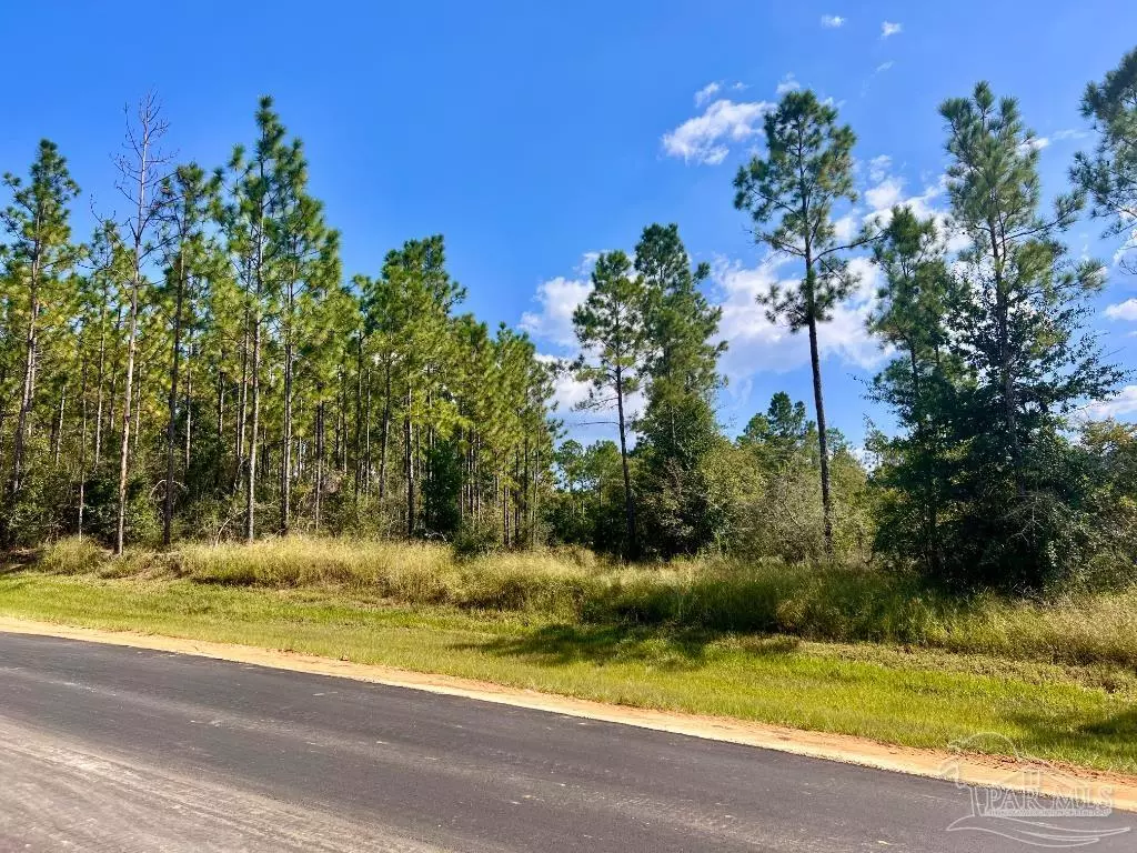 Molino, FL 32577,Lot 30 Morgans Branch